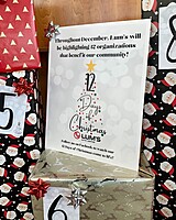 12 days of Christmas highlights 12 organizations that benefit our community!