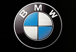 Global BMW logo