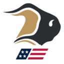 Bison Transport USA logo